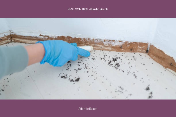 PEST CONTROL Atlantic Beach